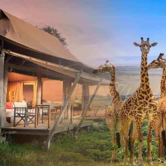 Kenya 3 Nights 4 Days Itinerary