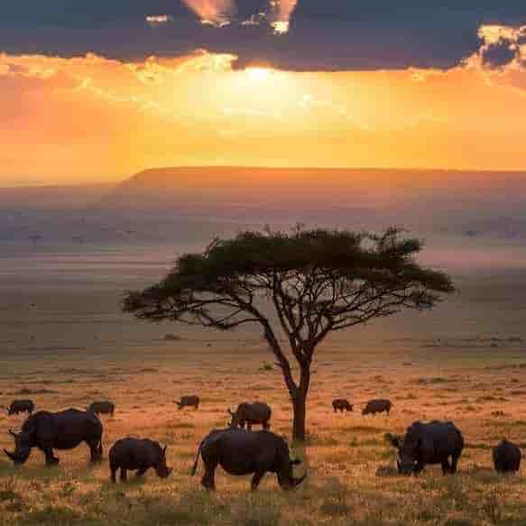 South Africa 3 Nights 4 Days Itinerary