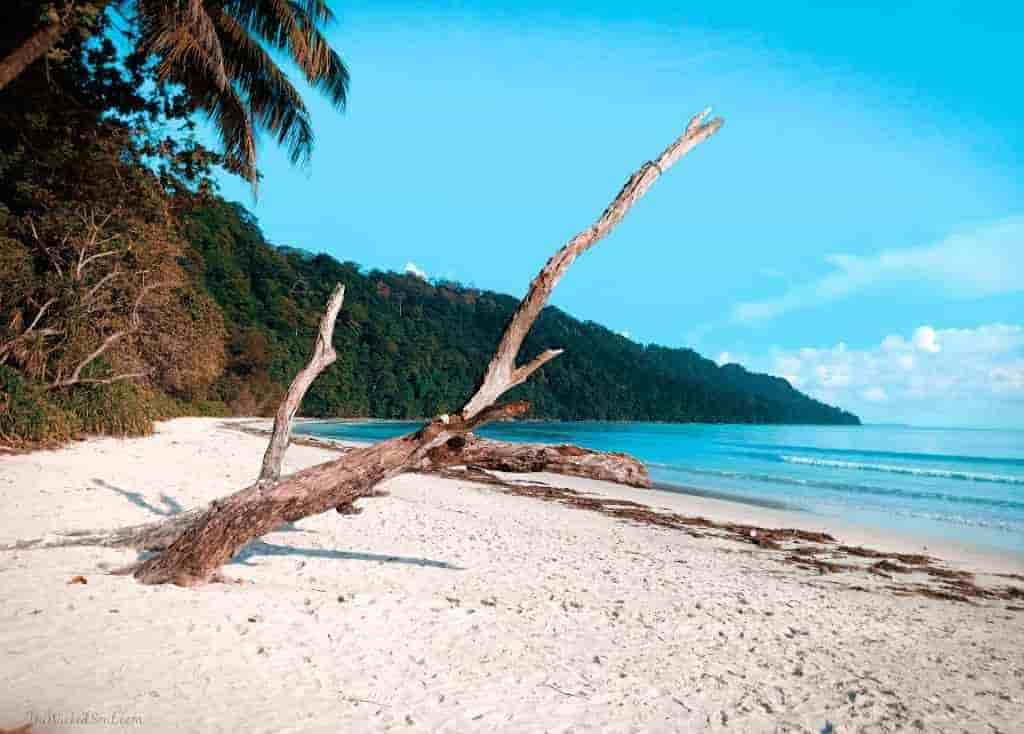 3 Night 4 Days Port Blair