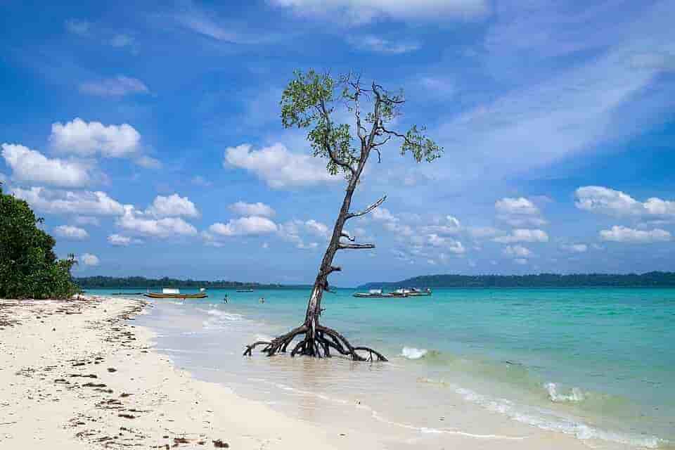 5 Night 6 Days with 2 night havelock 1 night neil