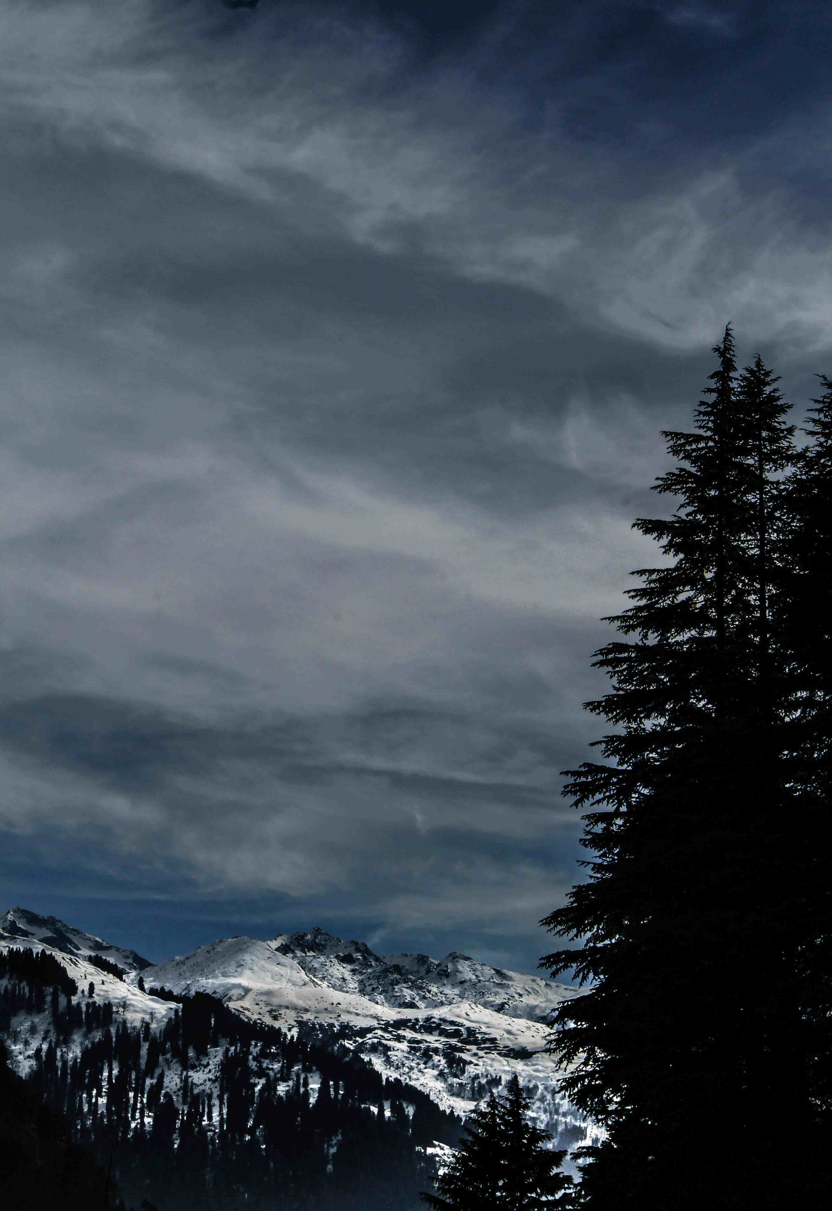 Manali 3 Night 4 Days 