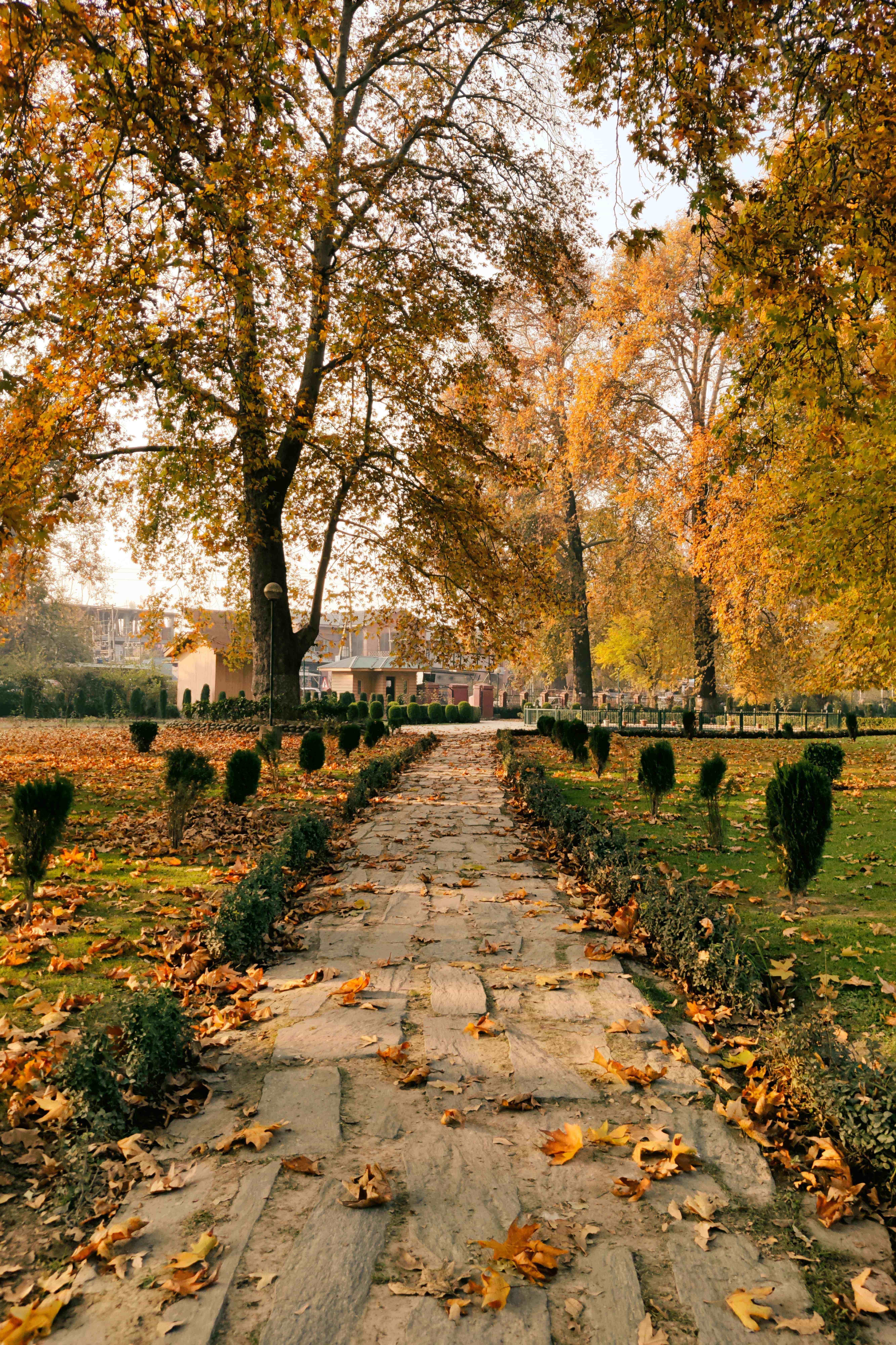 Kashmir Package 5 Nights 6 Days with Doodhpathri