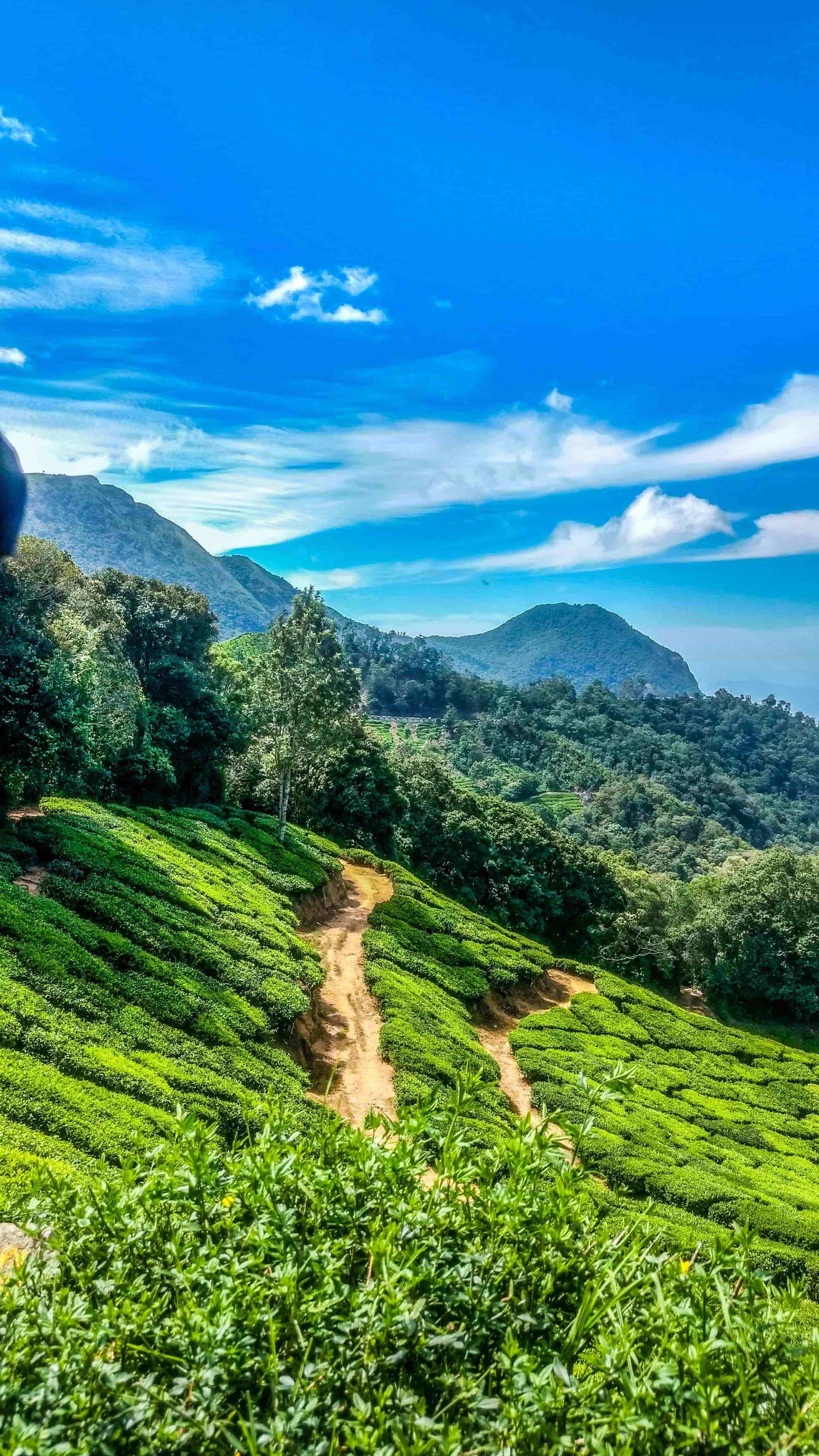 Kerala 3 Night 4 Days 