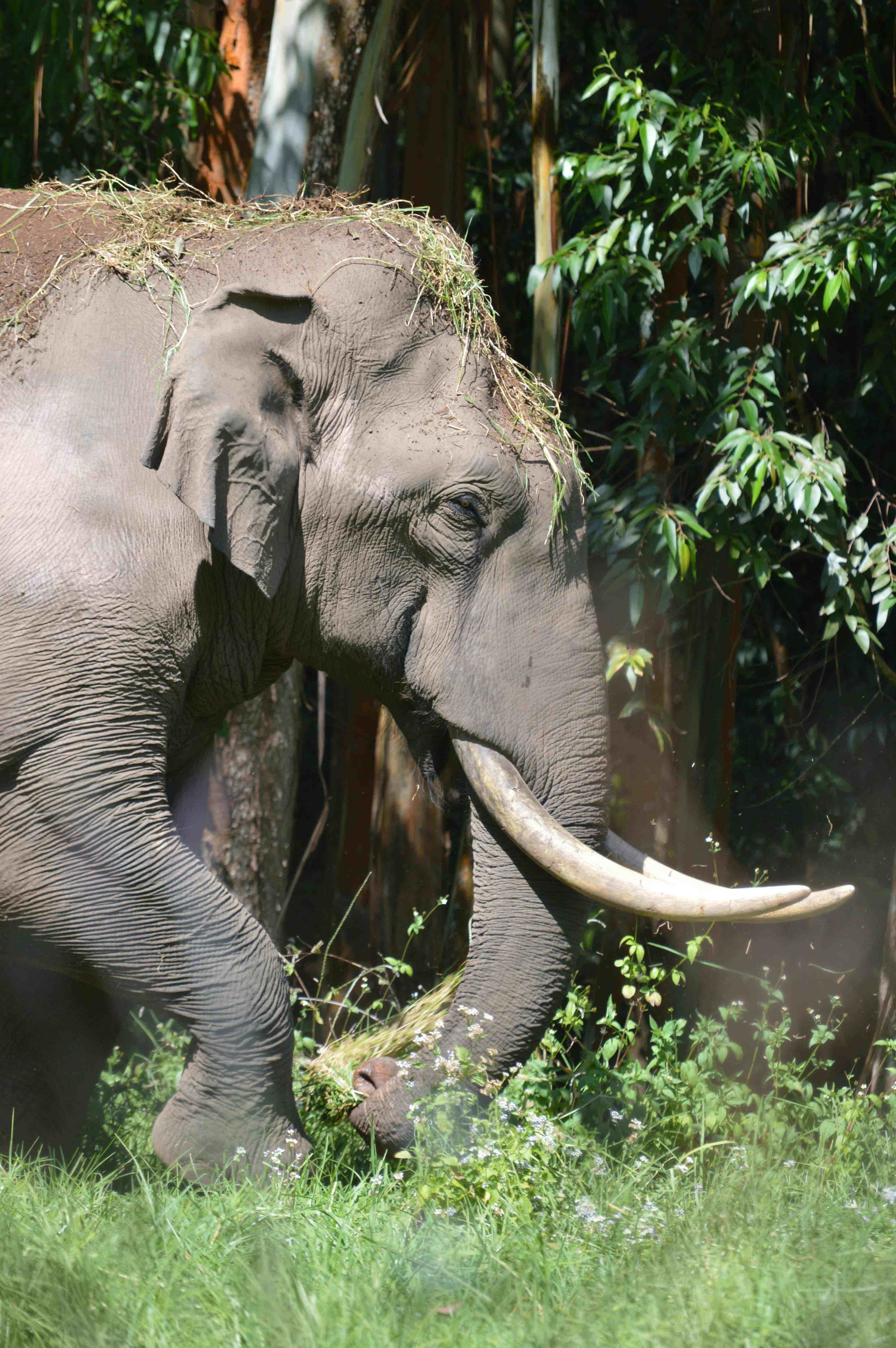 Kerala 6 Night 7 Days 