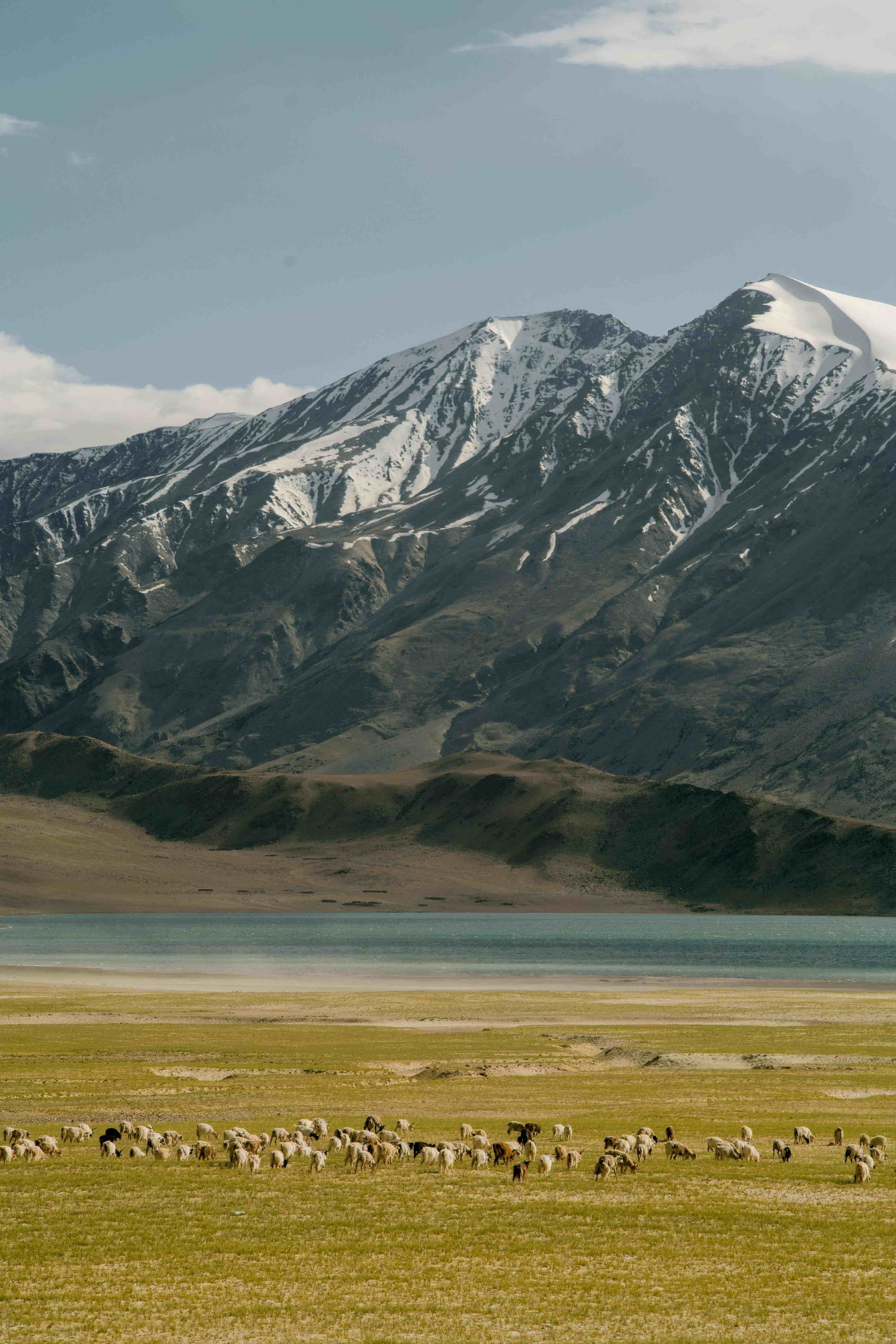 Leh-Ladakh 4 Night 5 Days 