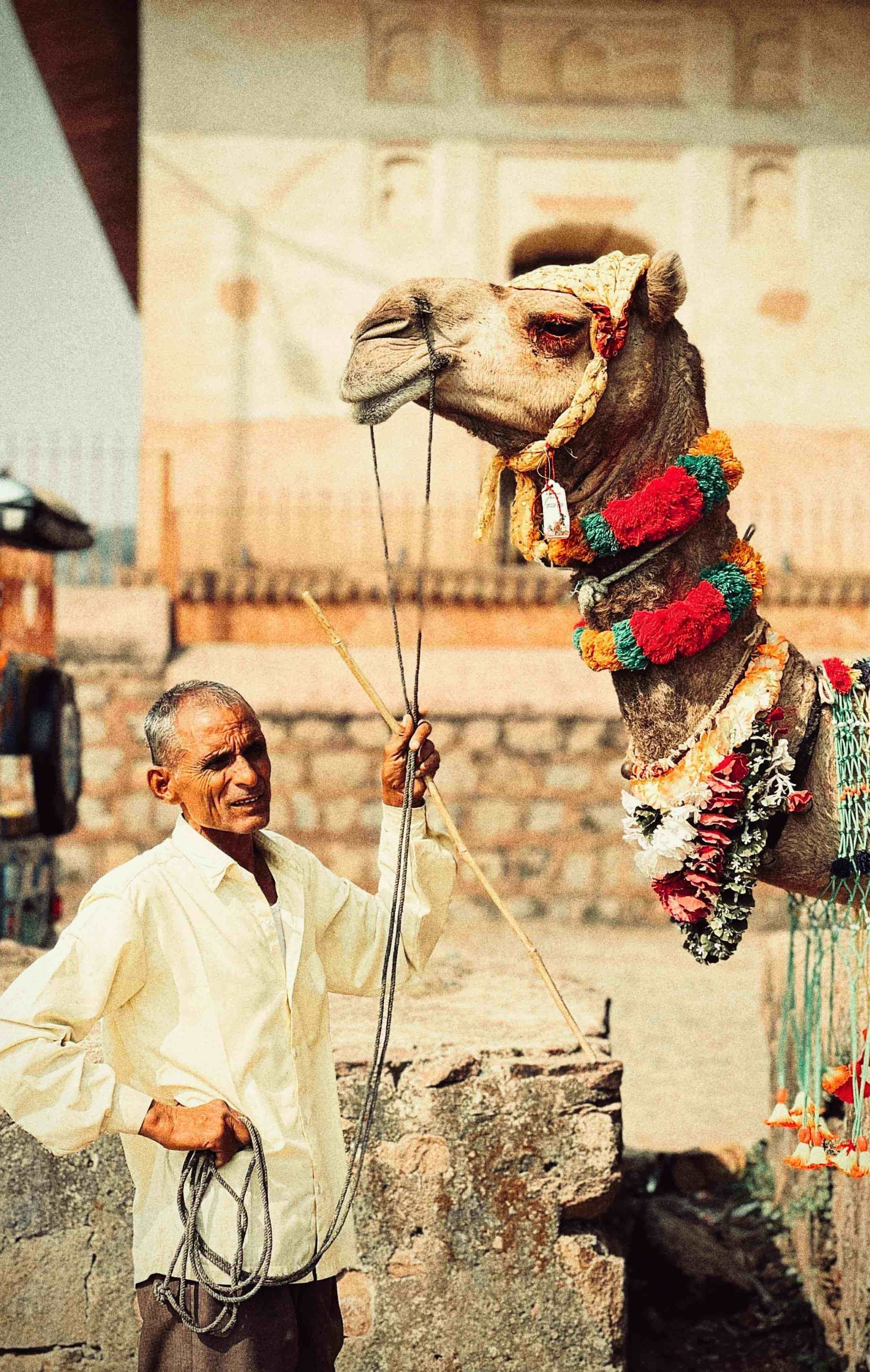 Rajasthan 5 Night 6 Days 