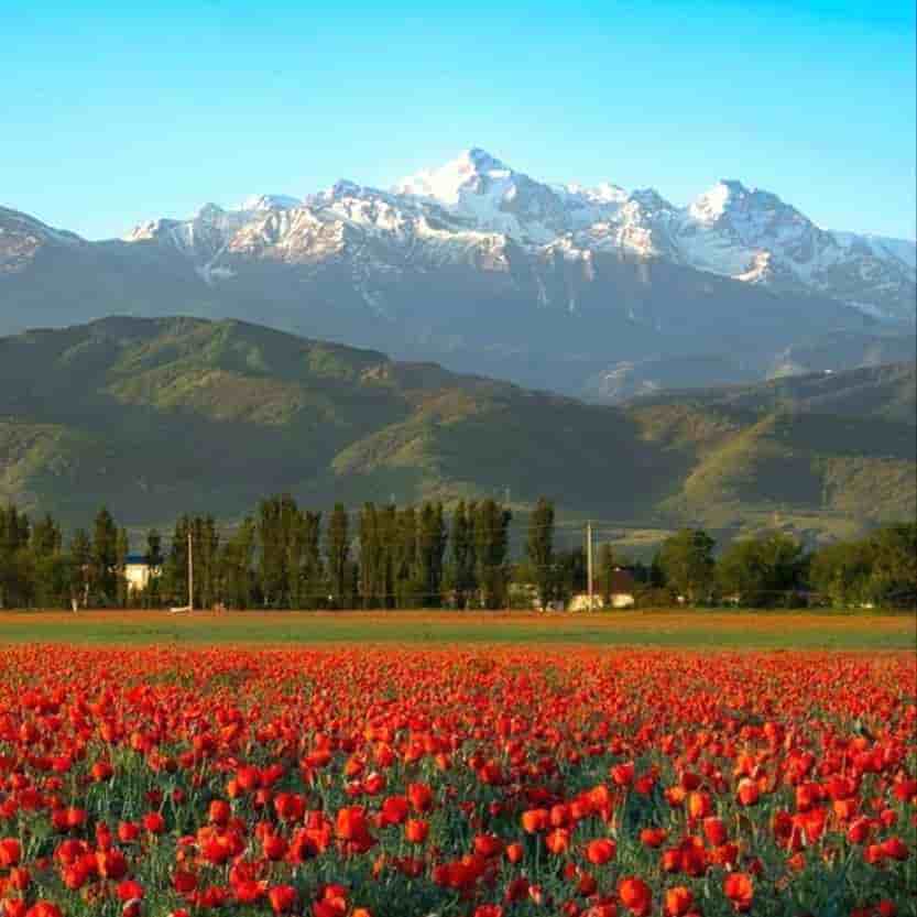 Kazakhstan 4 Nights 5 Days Itinerary