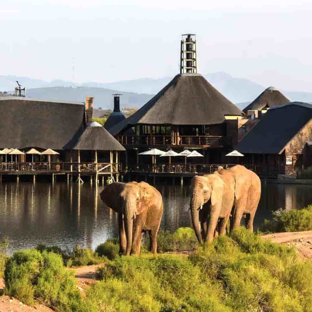 South Africa 6 Nights 7 Days Itinerary