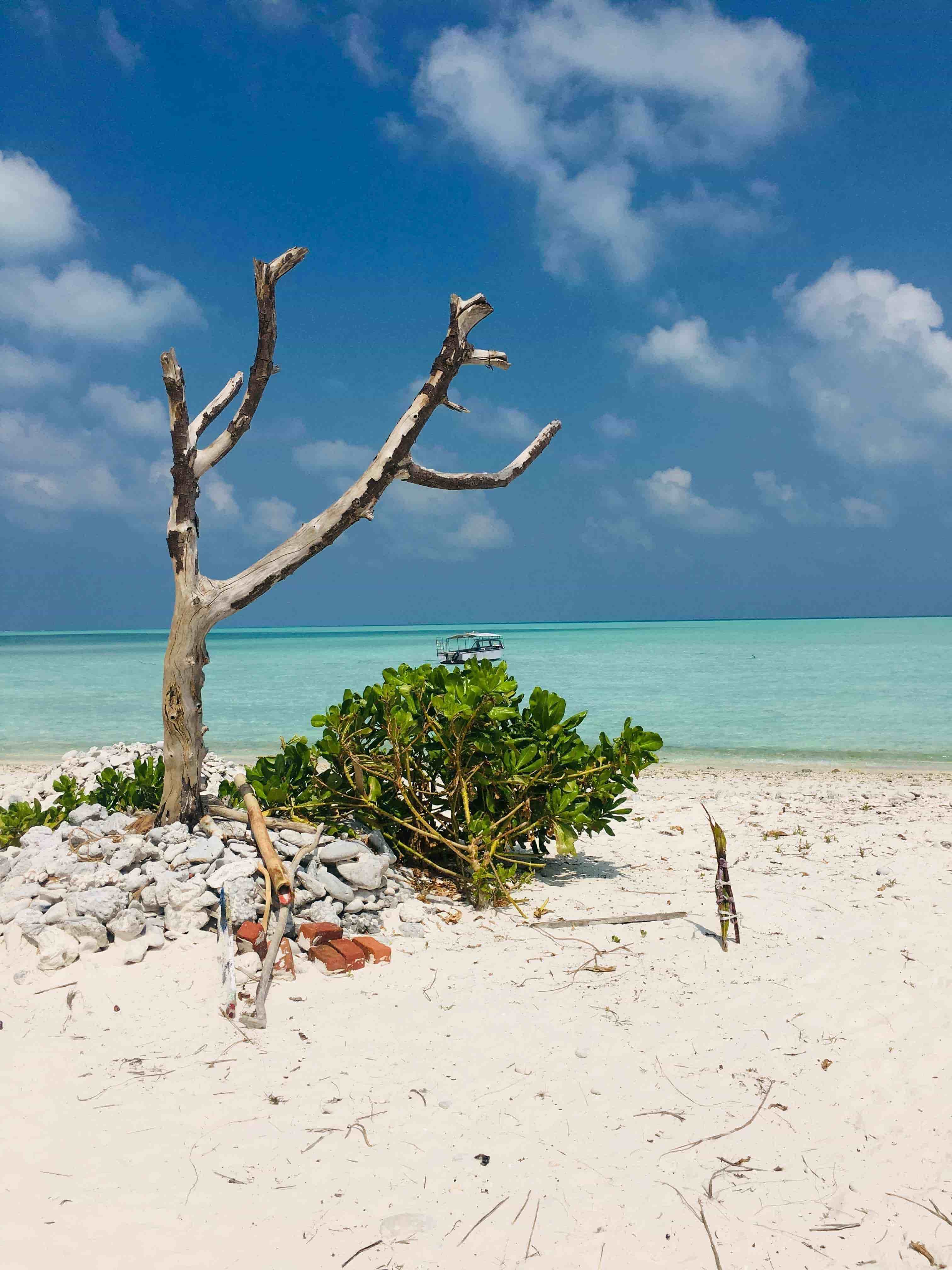 Lakshadweep 3 Night 4 Days